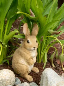 Adorable Bunny Garden Figurine - A Charming Addition to Your Outdoor Space